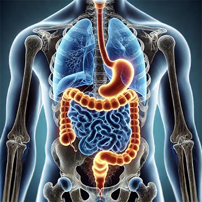 ClearView Imaging Virtual Colonoscopy